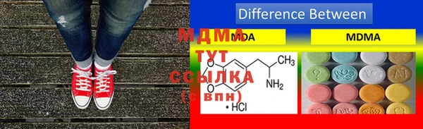 прущие грибы Бронницы